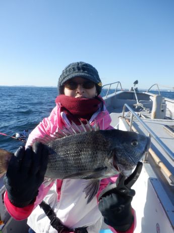 �Q�O�Q�U�E�P�E�P�Q�E����ނꂽ�B�r�؂̎o����I