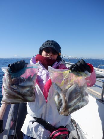 �Q�O�Q�U�E�P�E�P�Q�E����l�łU�T�C�B�O���ɃJ���C�ƃC�V���`�ƍ���B