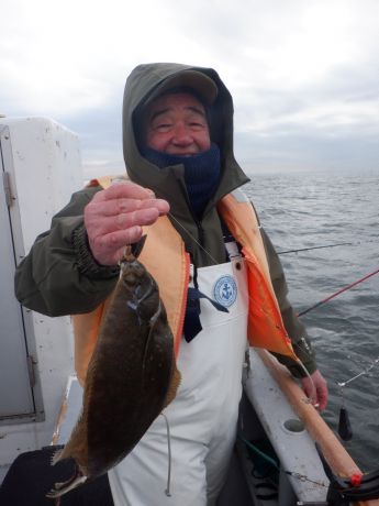 �Q�O�Q�U�E�P�E�V�E�u��ԌÂ���A����v�Γc����E�R�T�����}�R�K���C�B