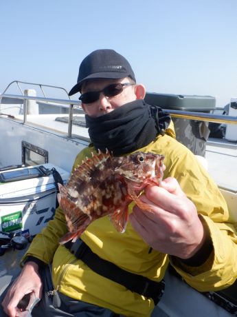 �Q�O�Q�U�E�Q�E�P�T�E�L�X���J�T�S�����[�捇�ɂ�