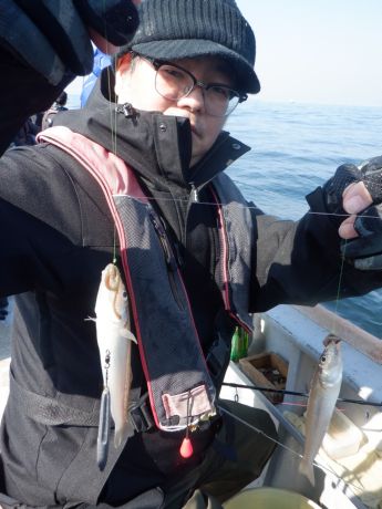 �Q�O�Q�U�E�Q�E�P�T�E�L�X���J�T�S�����[�捇�ɂ�