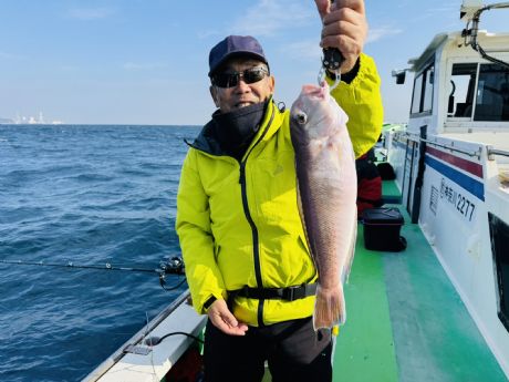 PQ/Q@w_A^VSScm܂ݍgA}_CSQbg