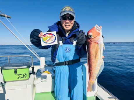 �P/�Q�R�@���䂳��A����T�Ocm(�P.�R�Qkg)�f�J�܂݃A�}�_�C�T���Q�b�g��