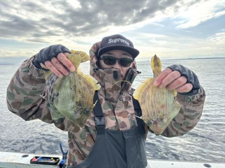 �P/�R�P�@�J���n�M�D