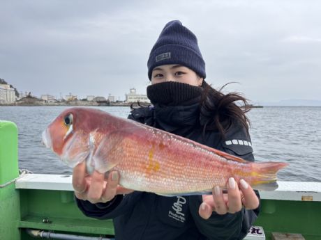 �Q/�P�U�@�����A���O���[����A�ǌ^�S�Pcm�A�}�_�C�Q�b�g��