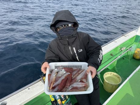 �Q/�Q�O�@�n�ӂ���A���σT�C�Y�ǂ��}���C�J�Q�S�t�Q�b�g��