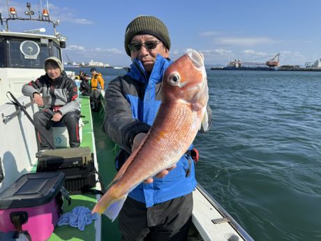 �Q/�Q�Q�@�}���C�J�D�ɂāA�܂����̑�^�S�Xcm�f�J�A�}�_�C�Q�b�g��