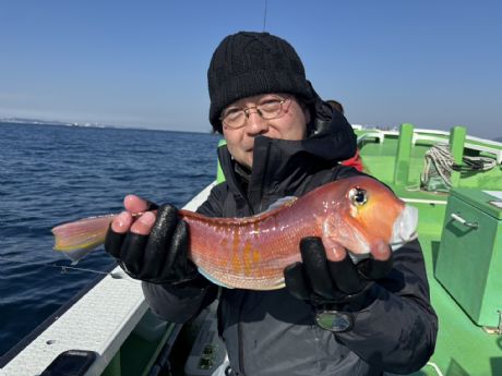 �Q/�Q�P�@�i�C�X�T�C�Y�̑�^�S�Qcm�A�}�_�C�Q�b�g��