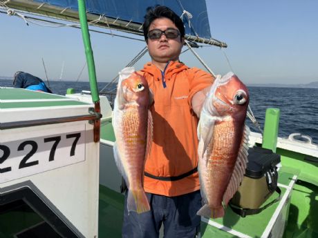 �Q/�Q�W�@��������A�i�C�X�T�C�Y�̑�^�S�Qcm���R�Wcm�A�}�_�C�Q�b�g��