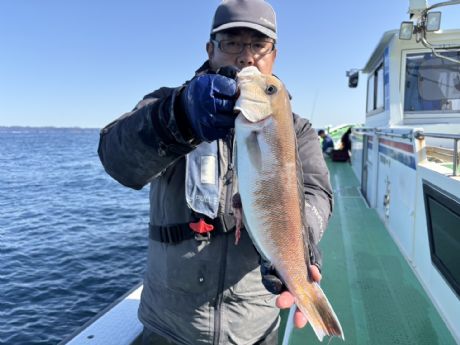 �R/�T�@���q����A�ǌ^�V���A�}�_�C�S�O�p�Q�b�g��