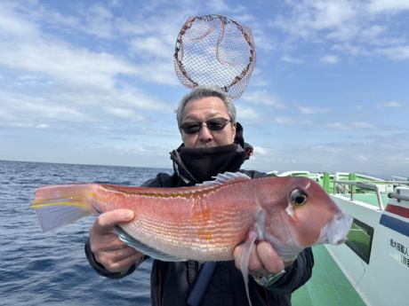 �R/�U�@�r�؂���A��^�S�Wcm�̃f�J�A�}�_�C�Q�b�g��