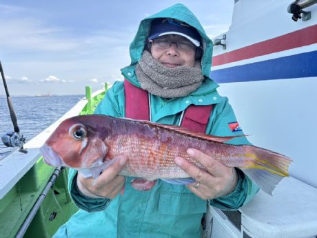 �R/�X�@��������A�i�C�X�T�C�Y�̑�^�S�Vcm�A�}�_�C�Q�b�g��