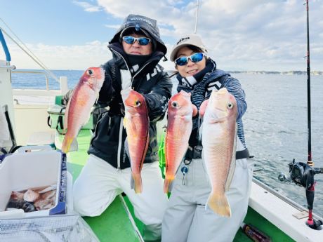 PQ/U@ǌ^ōgA}_CQbgł