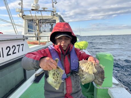 �P�Q/�P�W�@��������A�J���n�M�Q�O���Q�b�g��