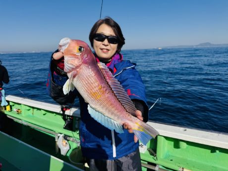 �P/�P�V�@�ΐ삳��A�i�C�X�T�C�Y�̑�^�S�Tcm�A�}�_�C�Q�b�g��