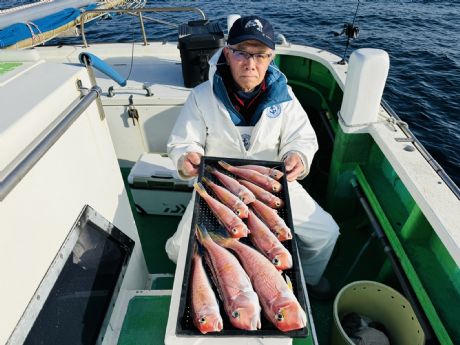 �P/�P�X�@��������A���E���^��̂ɗǌ^������ŃA�}�_�C�P�P���Q�b�g��