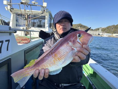 �R/�W�@�n�ӂ���A�i�C�X�T�C�Y�̑�^�S�Tcm�A�}�_�C�Q�b�g��