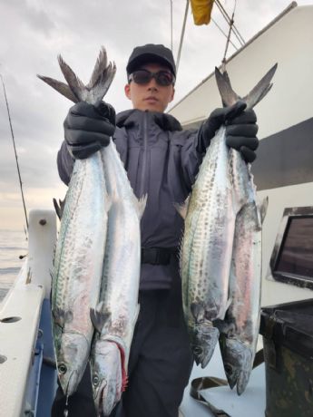 サワラ・サゴシ好調!”