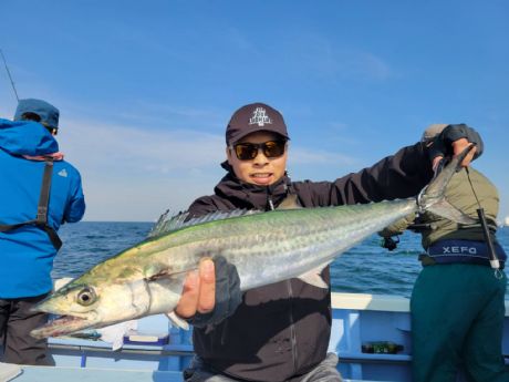 サワラ・サゴシ好調!