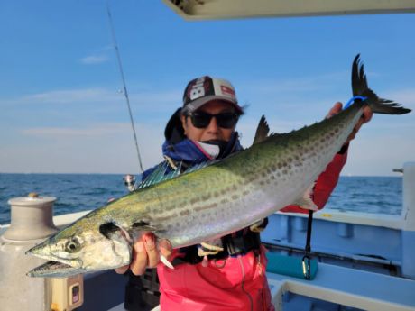 サワラ・サゴシ好調!”