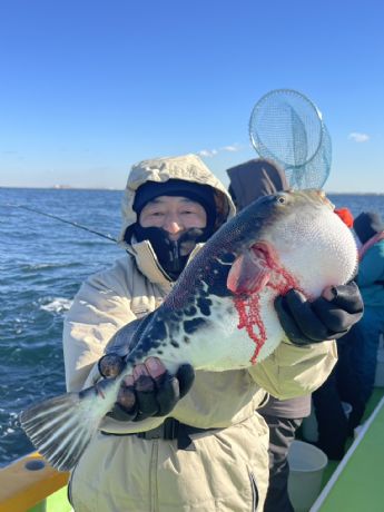 �g���t�O�D�I�h