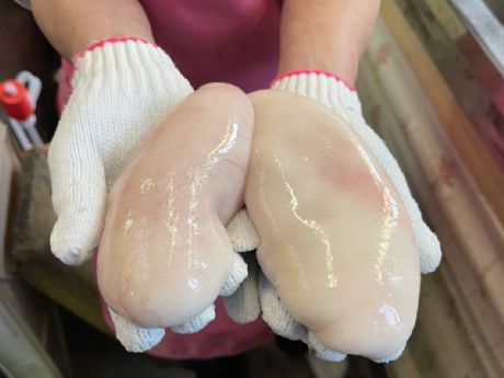 ���q���I�h