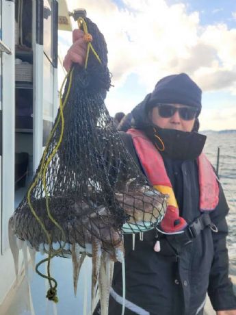 �f�J�����S�E�C�J���I�h