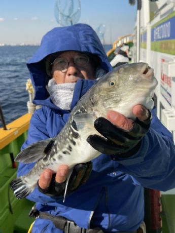 �g���t�O�D�I