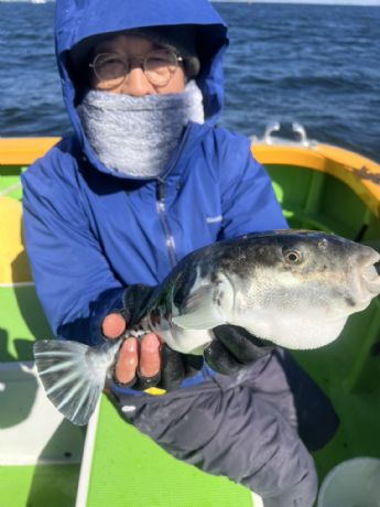 �g���t�O�D�I�h