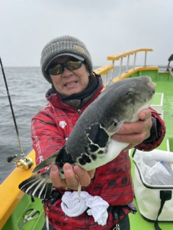 �g���t�O�D�I�h