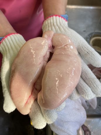 ���q���I