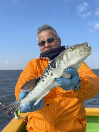 �g���t�O�D�I