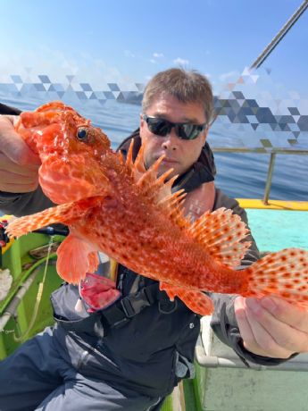 �I�j�J�T�S�D�I