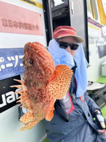 �I�j�J�T�S�D�I�h