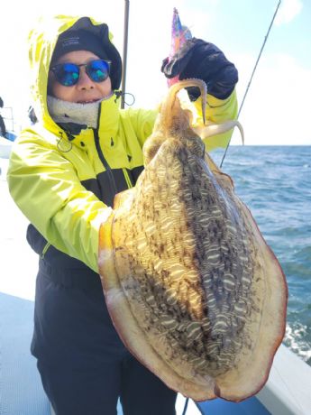 �����S�E�C�J�ǌ^�`�h