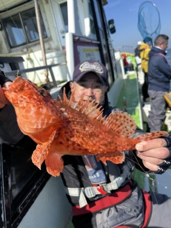 �I�j�J�T�S�D�I