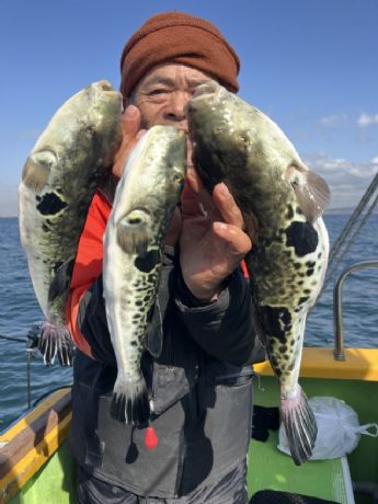 �g���t�O�D�I�h