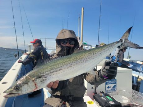 �~�T�����D�I�h