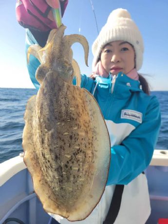 �ǌ^�Q�b�g�`�h