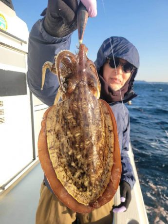 �G�M�C�J�D�I