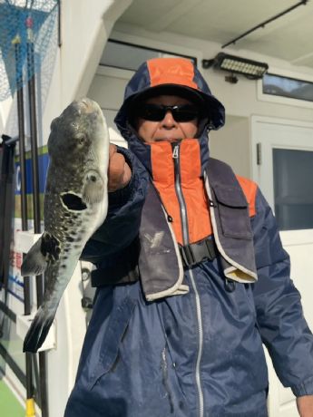 �g���t�O�D�I