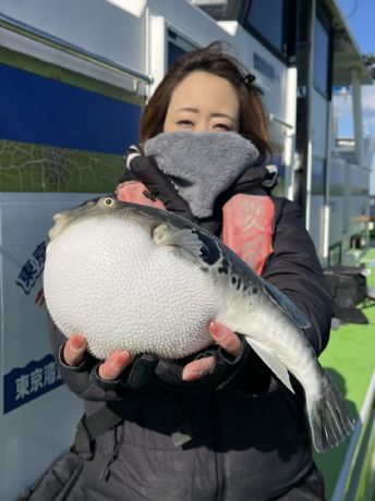 �g���t�O�D�I