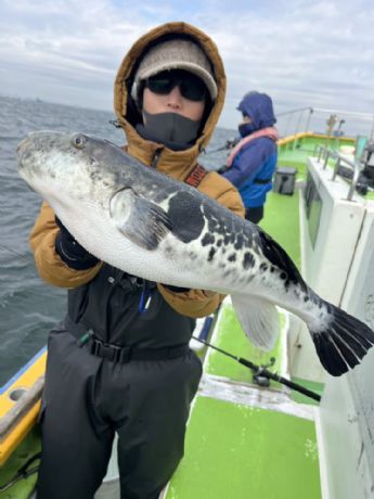 �g���t�O�D�I