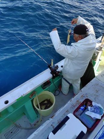 〔石花海〕◇ヤリイカ