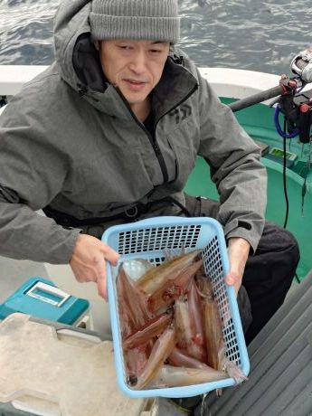 〔石花海〕◇ヤリイカ