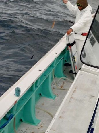 〔石花海〕拾って拾って貯まります。