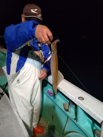 〔湾内夜〕◇ヤリイカも混じり。